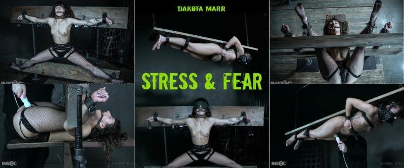 InfernalRestraints presents Dakota Marr - Stress & Fear - HD (2022)
