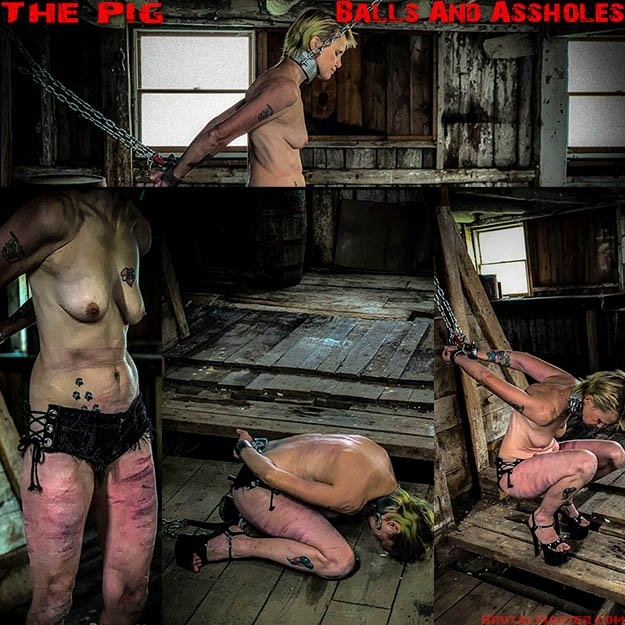 The Pig - Balls And Assholes - 1920x1080 (2022)