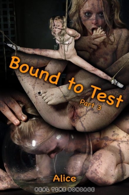 Bound to Test 3 - HD (2022)