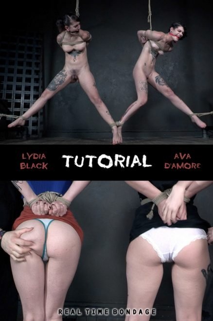 Tutorial - HD (2022)