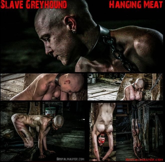 Brutal Master Hanging Meat: Slave Greyhound - 1920x1080 (2019)