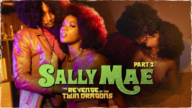 Ana Foxxx - Sally Mae: The Revenge of the Twin Dragons: Part 2 - FullHD (2022)
