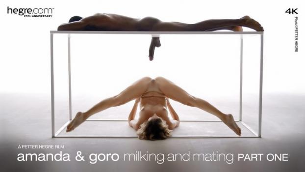 Amanda - Milking And Mating, Part 1 - FullHD (2022)